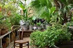 Bergs Potter Copenhagen Ruukku, Harmaa 16 Cm -Korbo Tarjous bergs potter copenhagen ruukku harmaa 27 1