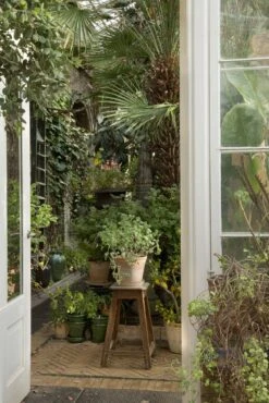 Bergs Potter Copenhagen Ruukku Rose, 12 Cm 10 Bergs Potter Copenhagen Ruukku Rose, 12 Cm -Korbo Tarjous bergs potter copenhagen ruukku rose 3