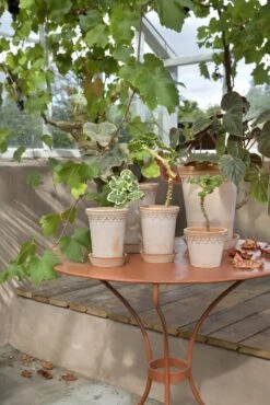 Bergs Potter Copenhagen Ruukku Rose, 12 Cm 11 Bergs Potter Copenhagen Ruukku Rose, 12 Cm -Korbo Tarjous bergs potter copenhagen ruukku rose 4