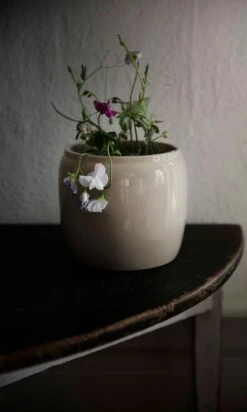 Ernst Ruukku Kiiltävä Savi Ø22,5 Cm, Beige 3 Ernst Ruukku Kiiltävä Savi Ø22,5 Cm, Beige -Korbo Tarjous ernst ruukku kiiltava savi 1