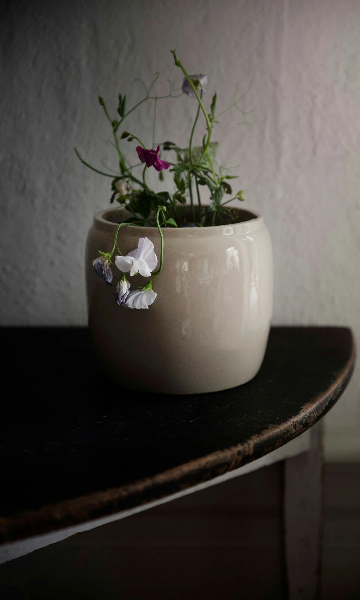 Ernst Ruukku Kiiltävä Savi Ø22,5 Cm, Beige 2 Ernst Ruukku Kiiltävä Savi Ø22,5 Cm, Beige - Image 2