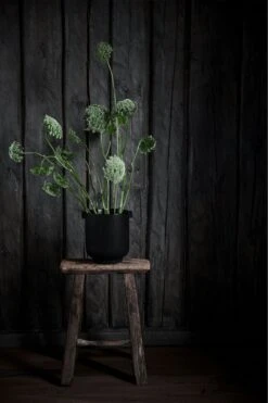 Ernst Pot With Ears H14 Cm, Black -Korbo Tarjous ernst ruukku musta 1 1