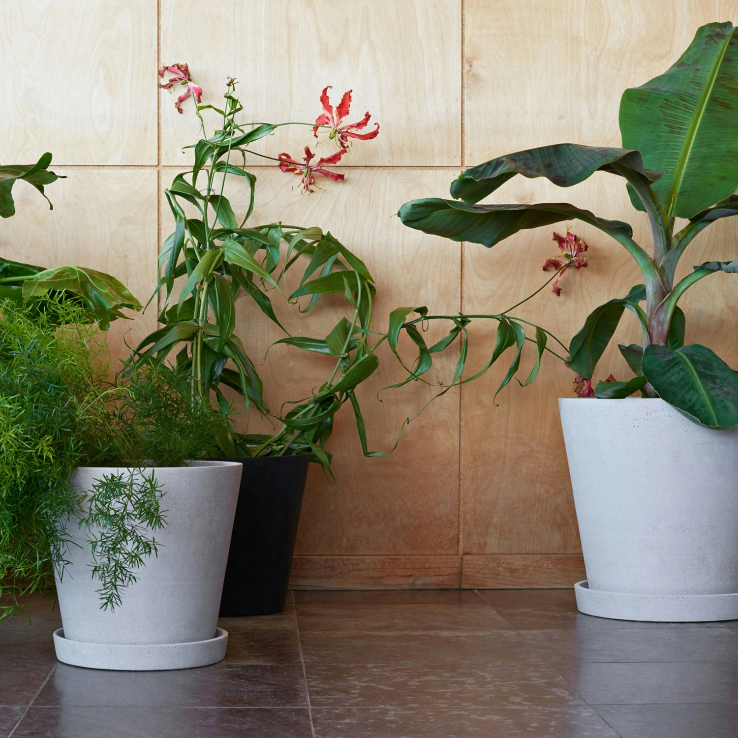 Hay Flowerpot Ruukku Pikkulautasella Harmaa, Ø11 Cm S 2 Hay Flowerpot Ruukku Pikkulautasella Harmaa, Ø11 Cm S - Image 2