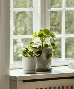 Hay Flowerpot Ruukku Pikkulautasella Harmaa, Ø11 Cm S 11 Hay Flowerpot Ruukku Pikkulautasella Harmaa, Ø11 Cm S -Korbo Tarjous hay kukkaruukku aluslautanen harmaa 11