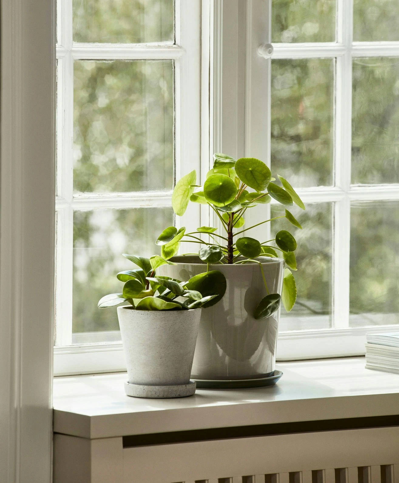 Hay Flowerpot Ruukku Pikkulautasella Harmaa, Ø11 Cm S 6 Hay Flowerpot Ruukku Pikkulautasella Harmaa, Ø11 Cm S - Image 6