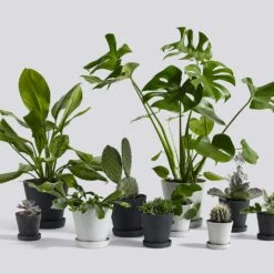 Hay Flowerpot Ruukku Pikkulautasella Harmaa, Ø11 Cm S 9 Hay Flowerpot Ruukku Pikkulautasella Harmaa, Ø11 Cm S -Korbo Tarjous hay kukkaruukku aluslautanen harmaa 3