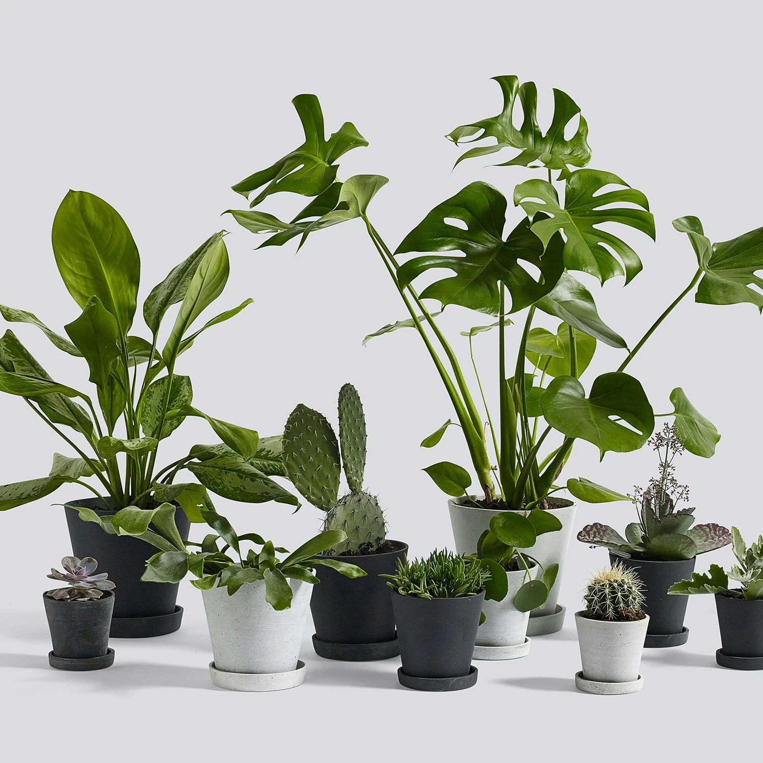 Hay Flowerpot Ruukku Pikkulautasella Harmaa, Ø11 Cm S 4 Hay Flowerpot Ruukku Pikkulautasella Harmaa, Ø11 Cm S - Image 4