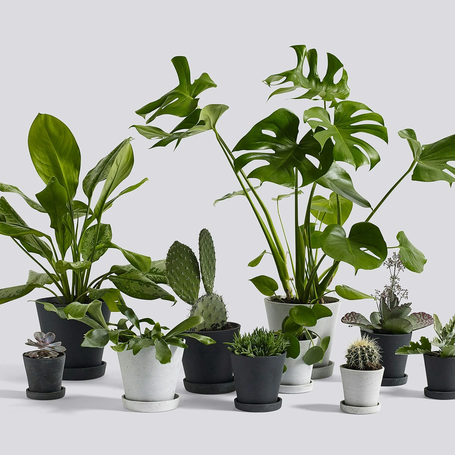 Hay Flowerpot Ruukku Pikkulautasella Musta, Ø14 Cm M 2 Hay Flowerpot Ruukku Pikkulautasella Musta, Ø14 Cm M - Image 2