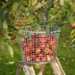 Korbo Tarjous 6 Korbo Tarjous -Korbo Tarjous korbo bucket 16 kori ruostumaton teras 10