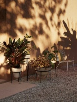 Menu Daiza Kukkaruukku Ivory, Ø25x65 Cm -Korbo Tarjous menu daiza planter h35 25 ivory 10