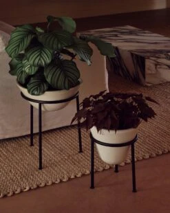 Menu Daiza Kukkaruukku Ivory, Ø25x35 Cm -Korbo Tarjous menu daiza planter h35 25 ivory 6