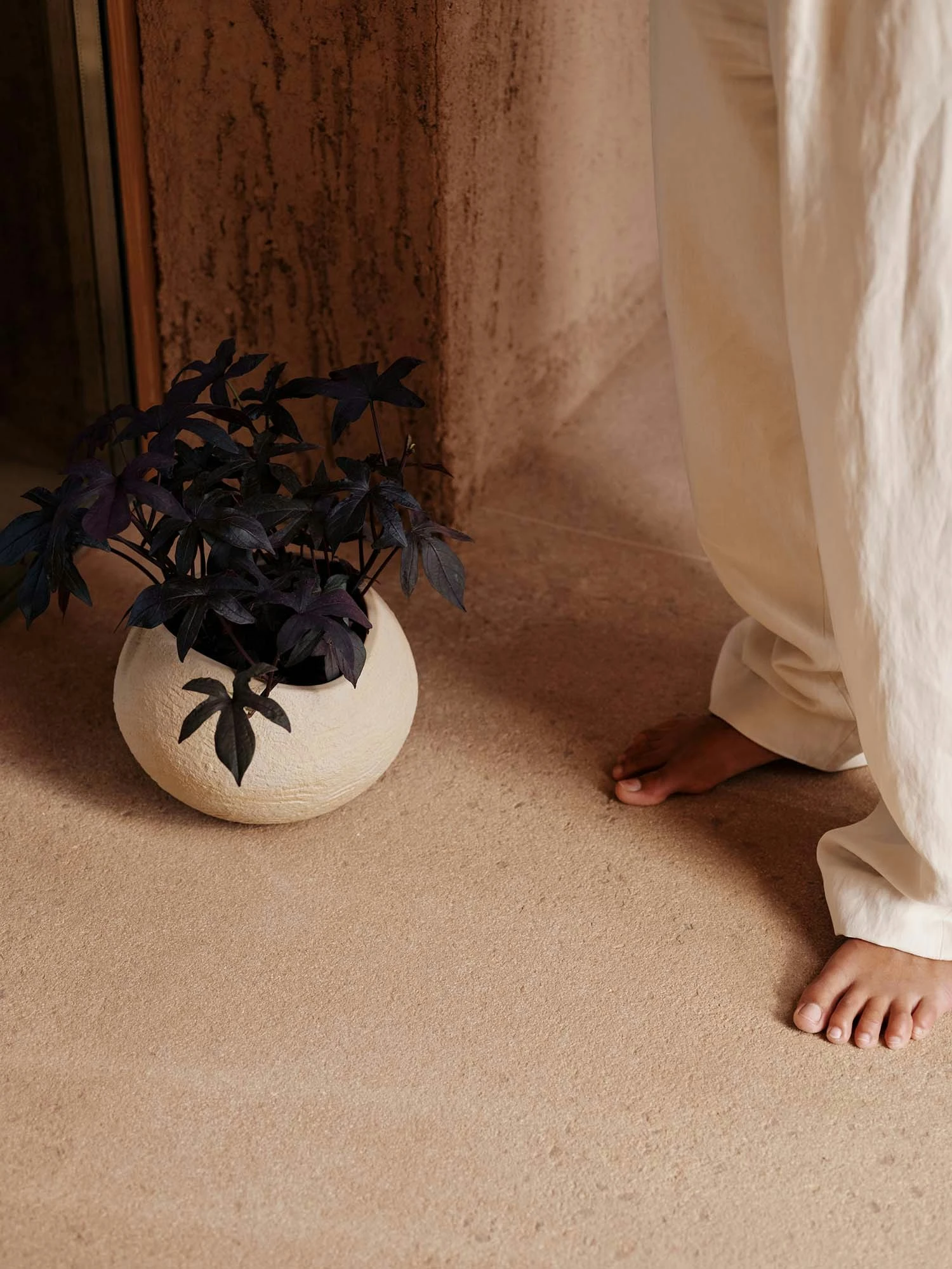 Menu Plantas Kukkaruukku Ivory, 17 Cm 5 Menu Plantas Kukkaruukku Ivory, 17 Cm - Image 5