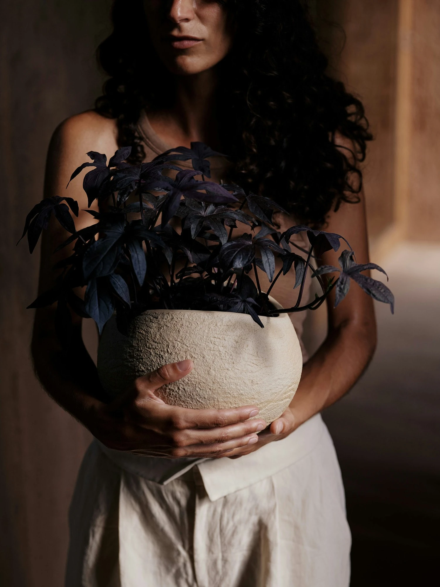 Menu Plantas Kukkaruukku Ivory, 26 Cm 5 Menu Plantas Kukkaruukku Ivory, 26 Cm - Image 5