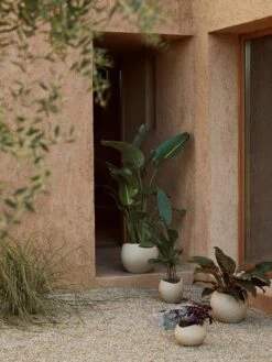 Menu Plantas Kukkaruukku Ivory, 17 Cm 9 Menu Plantas Kukkaruukku Ivory, 17 Cm -Korbo Tarjous menu plantas planter h 17 ivory 9