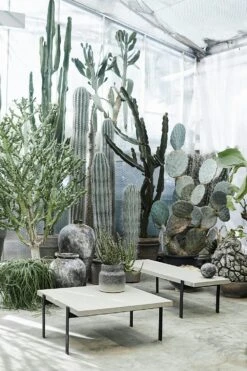 Muubs Kanji Purkki, 22 Cm -Korbo Tarjous muubs kanji purkki 10