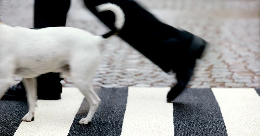 Bob Matto 70x200 Cm, Musta/Vanilija 2 Bob Matto 70x200 Cm, Musta/Vanilija - Image 2