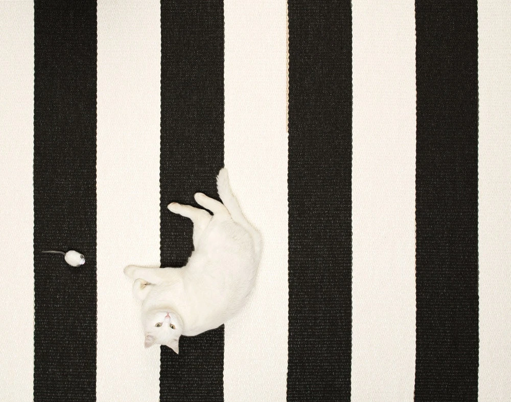 Bob Matto 70x200 Cm, Musta/Vanilija 3 Bob Matto 70x200 Cm, Musta/Vanilija - Image 3