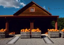 Ella Matto 70x225 Cm, Musta/Vanilija -Korbo Tarjous pappelina ella matto 70x225 cm musta vanilija 2 2