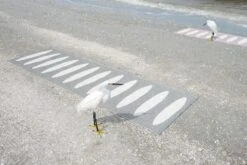 Ella Matto 70x300 Cm, Musta/Vanilija -Korbo Tarjous pappelina ella matto 70x225 cm musta vanilija 3 1