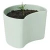 RIG TIG Your Tree Degradable Pot With Seed, Green -Korbo Tarjous rig tig by stelton your tree degradable pot with seed 5
