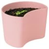 RIG TIG Your Tree Degradable Pot With Seed, Pink -Korbo Tarjous rig tig by stelton your tree degradable pot with seed 7