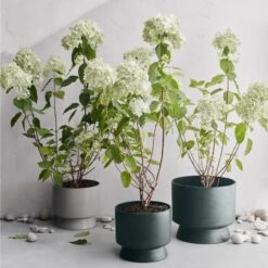 Ro Ruukku Tummanvihreä, Ø12 Cm -Korbo Tarjous rosendahl copenhagen ro ruukku tummanvihrea 14