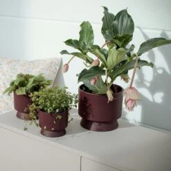 Ro Ruukku Viininpunainen, 12 Cm -Korbo Tarjous rosendahl copenhagen ro ruukku viininpunainen 2 1