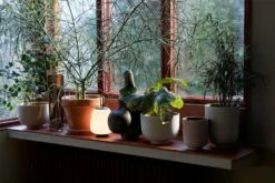 &Tradition Collect SC69 Kukkaruukku SC69 Ø12x13 Cm, Milk 10 &Tradition Collect SC69 Kukkaruukku SC69 Ø12x13 Cm, Milk -Korbo Tarjous tradition collect kukkaruukku sc69 dia12 x h13 cm 1 4