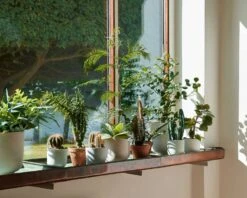 &Tradition Collect SC69 Kukkaruukku SC69 Ø12x13 Cm, Milk 8 &Tradition Collect SC69 Kukkaruukku SC69 Ø12x13 Cm, Milk -Korbo Tarjous tradition collect kukkaruukku sc69 dia12 x h13 cm 17