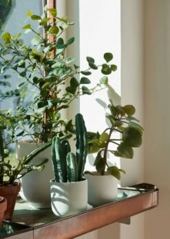 &Tradition Collect SC69 Kukkaruukku SC69 Ø12x13 Cm, Milk 9 &Tradition Collect SC69 Kukkaruukku SC69 Ø12x13 Cm, Milk -Korbo Tarjous tradition collect kukkaruukku sc69 dia12 x h13 cm 18