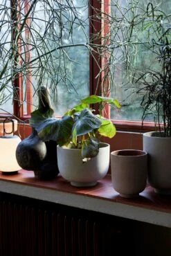 &Tradition Collect SC69 Kukkaruukku SC69 Ø12x13 Cm, Milk 11 &Tradition Collect SC69 Kukkaruukku SC69 Ø12x13 Cm, Milk -Korbo Tarjous tradition collect kukkaruukku sc69 dia12 x h13 cm 2 4