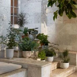 &Tradition Collect Kukkaruukku Ø15x18 Cm, Sage 10 &Tradition Collect Kukkaruukku Ø15x18 Cm, Sage -Korbo Tarjous tradition collect kukkaruukku sc70 dia15 x h18 cm 4 1