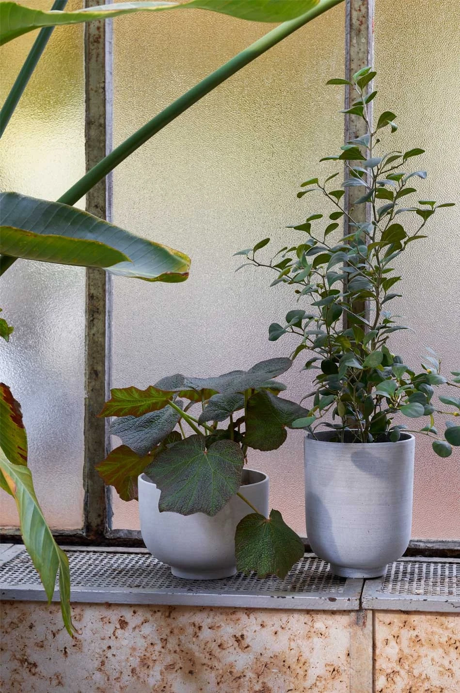 &Tradition Collect SC71 Kukkaruukku Ø24x18 Cm, Sage 5 &Tradition Collect SC71 Kukkaruukku Ø24x18 Cm, Sage - Image 5